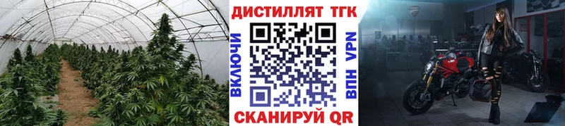продажа наркотиков  Белозерск  ТГК гашишное масло 