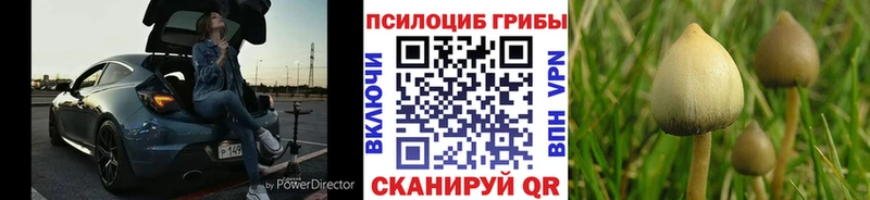 Галлюциногенные грибы прущие грибы  Белозерск 